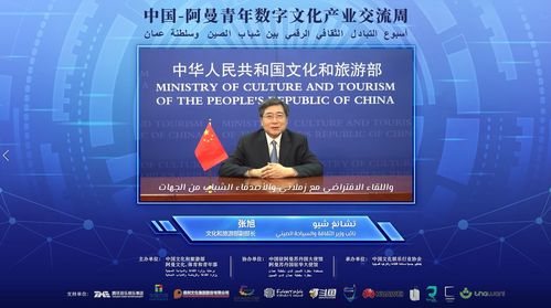 數(shù)字絲路，青春共創(chuàng) 中阿青年數(shù)字文化產(chǎn)業(yè)交流周盛大啟幕